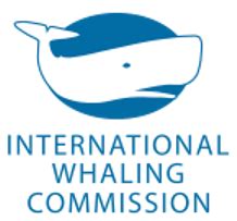 iwc 現在|国際捕鯨委員会（International Whaling Commission ： IWC）.